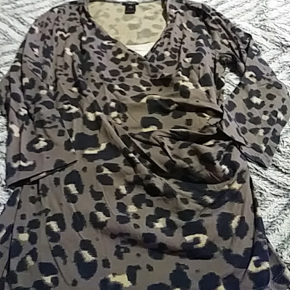Ann Taylor